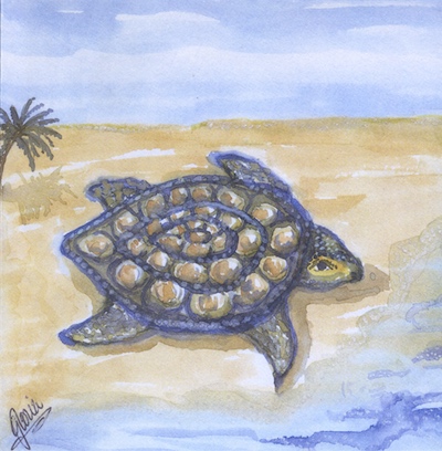 turtle bay