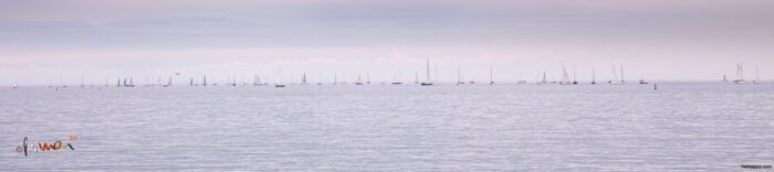 sailing scotsman bay