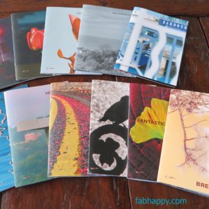 2022 chapbook subscription - image showing all 11 of the 2021 chapbooks