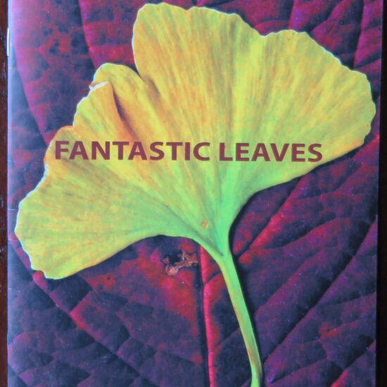 Fantastic Leaves chapbook from Simon Robinson