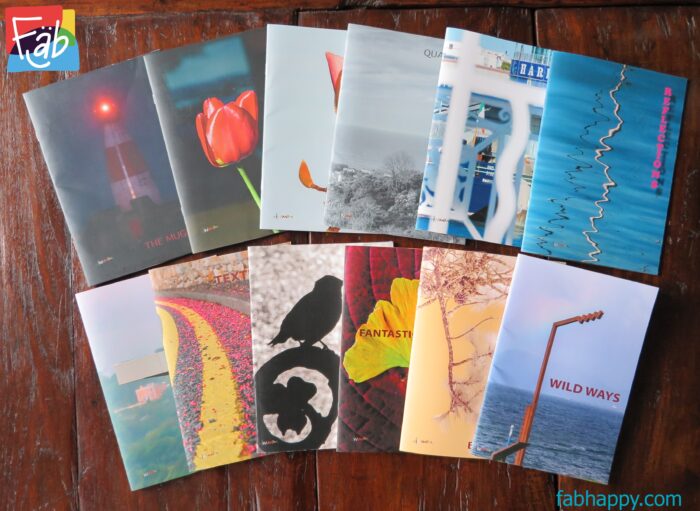 all 12 chapbooks from 2021