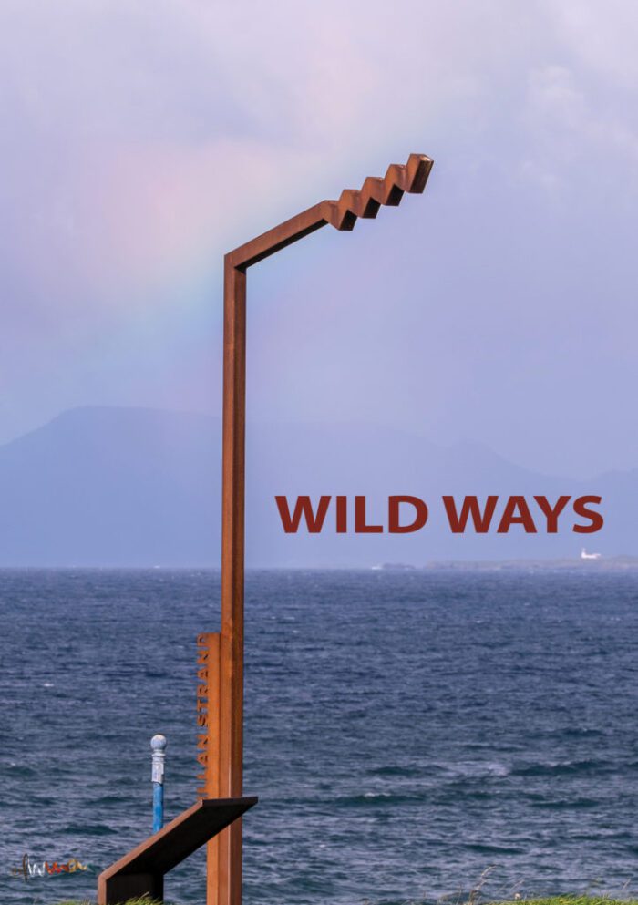 wild ways cover