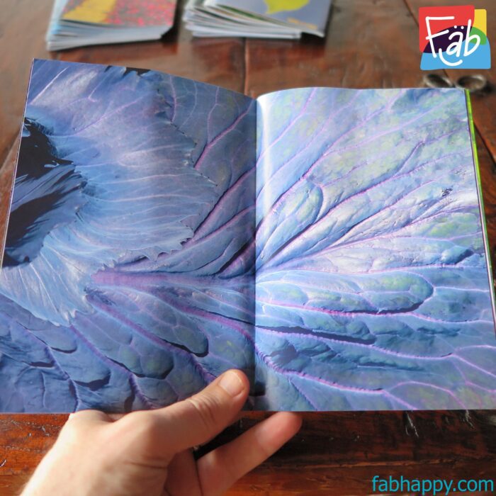 inside the chapbook