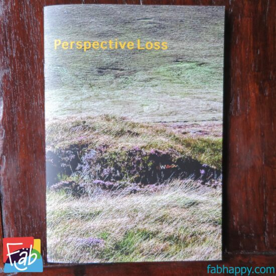 Perspective Loss Chapbook